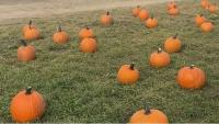 Halloween thrills and fall festivals highlight weekend fun in southwestern Montana