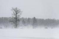 South Dakota's Winter Weather Preparedness Day Falls On Oct. 28