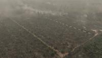 Malaysia's palm oil industry steps up fire prevention efforts as 'Godzilla' El Nino fuels haze woes
