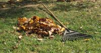 Gardeners urged to do 3 important tasks before next week or risk £1,000 fine