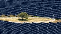 New Zealand opens $153m Kōwhai Park solar farm in Christchurch