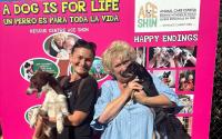 Art for Animals: El Soto event raises €1,762 for two charities