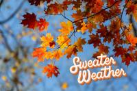 Alabama’s Weekend Forecast Brings a Welcome Taste of Fall