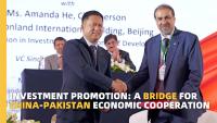 Investment promotion: A bridge for China-Pakistan economic cooperation