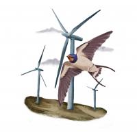 Wildlife Interactions with Renewable Energy Sites: A Conversation with Professor Clint Robins