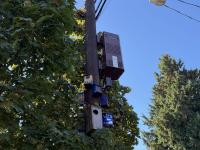 Slog AM: Shooter Kills Four in Bend, White Powder Mailed to Washington State Elections Office, a Stupid Flying Car
