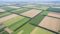 Diesel Costs Straining California Agriculture