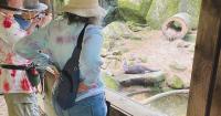 Squam Lakes Natural Science Center nears 2M trail visitors during 60th anniversary season