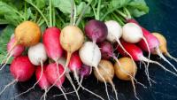 Gardening Tips: Spinach to Radish, 5 Vegetables to Grow This Autumn