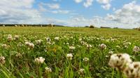 Farmers hit by technical issues given second chance to apply for SFI