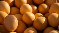 Australia’s competition body starts proceedings against alleged egg cartel