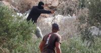 Israeli Mob Beats Washington Post Journalist, Burns Olive Trees In West Bank