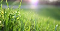 Illegal pesticide in Indiana poses serious health risks