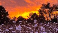 Colder Air Rolls Into Alabama Tonight; Fine Fall Weekend Ahead