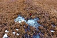 2026 Wisconsin Trapping Season Opening Soon