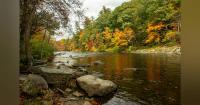 Recent Rain Lowers Connecticut Wildfire Risk at Historic Low Level
