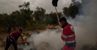 Israeli settlers attack Palestinians and Washington Post photographer in West Bank
