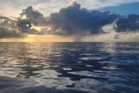 From Research Vessel To Regional Resilience