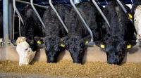 Ireland imported more than twice the volume of home-grown cereals in 2025