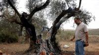 Record Israeli attacks on Palestinian olive groves; Teen shooter kills children at Oregon school; Poland scrambles jets following Russian strikes