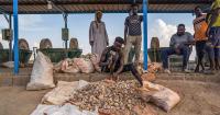 Deadly air strike on goldminers lays bare Sudan's economic deprivation