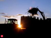 India sets zero sugar diversion for ethanol in 2026/27 tender