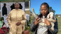 Reclaiming the kraal: Cultural heritage sparks a farming dream
