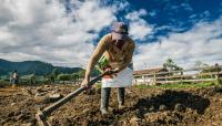Women farmers need better financing to benefit from AI