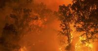 EcoNews Report: How will climate change affect the North Coast?