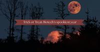 Tricks, treats, and trial results: Biotech’s scariest highs and lows of 2026
