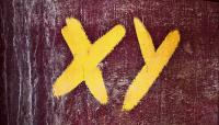Sex chromosomes drive how bodies deal with cancer, heart health, and more