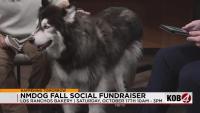 NMDOG to hold fundraiser on Saturday