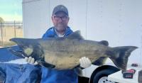 Montana’s Shocking Monster State Record Salmon…That Isn’t