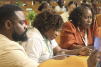 Africa seeks bigger share of global destination weddings and events