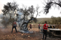 Israeli Settlers Attack Palestinians, US Journalist In West Bank