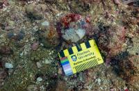 Submerged Sites Identified Off Australia’s Northwestern Coastline
