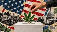 2026 US Elections: Which States Are Voting on Cannabis Measures?
