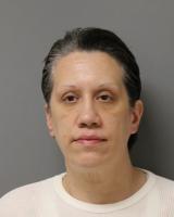 New York Woman Extradited to Ocean View Following Multi-State Bank Fraud Investigation