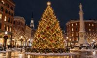 Portland Seeks Holiday Tree as Monument Square Prepares for Annual Tradition