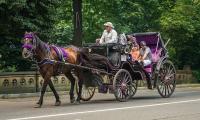 Romantic horse-drawn carriages could disappear from New York City - these are the tourist attractions that have already fallen out of favour