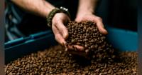 Kerry opens coffee extraction manufacturing facility in Pennsylvania