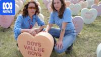 The hearts hoping to create lasting impact at Sculpture by the Sea