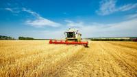 New markets abroad, more value at home: Agri-food’s next opportunities