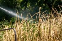 AgriLife Extension continuing education course set for Nov. 20 in Goodrich