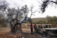 Israeli Settlers Launch a Coordinated Attack in the West Bank