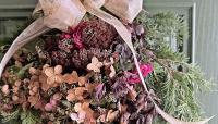 Medina County Master Gardeners to host holiday greenery workshop
