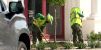 New trees mark progress on Broad Street construction project