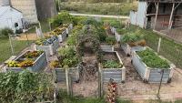 growing a bountiful harvest in nym