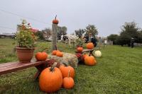 Pa. gets its first agricultural plan as farmers face land loss, rising costs, and labor shortages