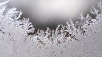 Frost advisory issued for parts of GTA: Environment Canada